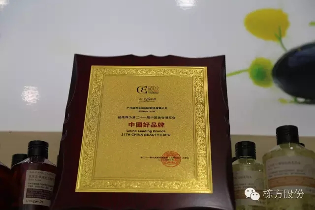 科技引領(lǐng)美麗▏棟方股份榮獲“中國好品牌獎”！
