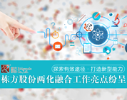 探索有效途徑，打造新型能力——棟方股份兩化融合工作亮點(diǎn)紛呈