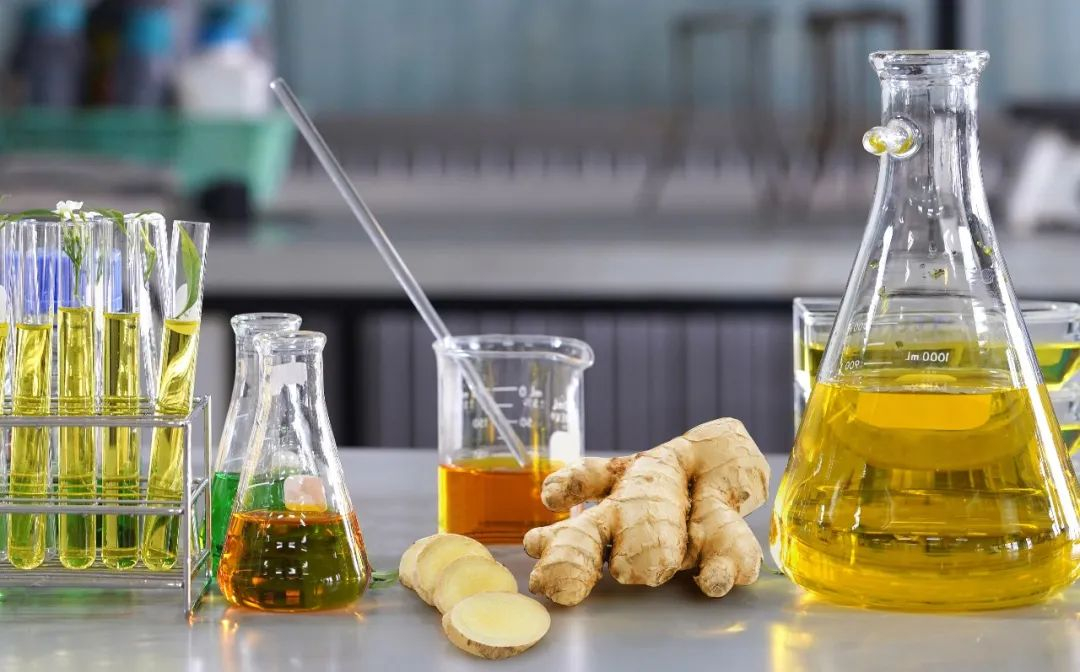 棟方股份榮獲2021年廣東省科技進步獎，科研創(chuàng)新實力再獲認可！