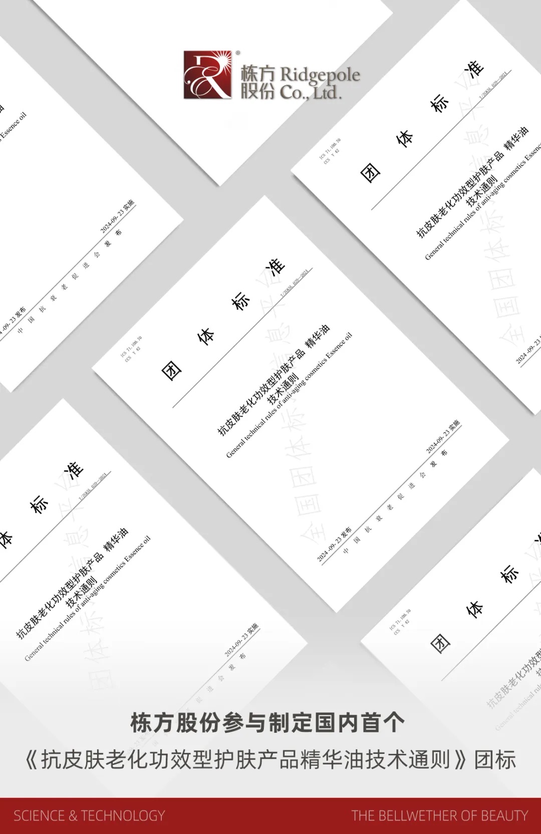 標準引領丨國內(nèi)首個《抗皮膚老化功效型護膚產(chǎn)品精華油技術通則》團體標準正式發(fā)布